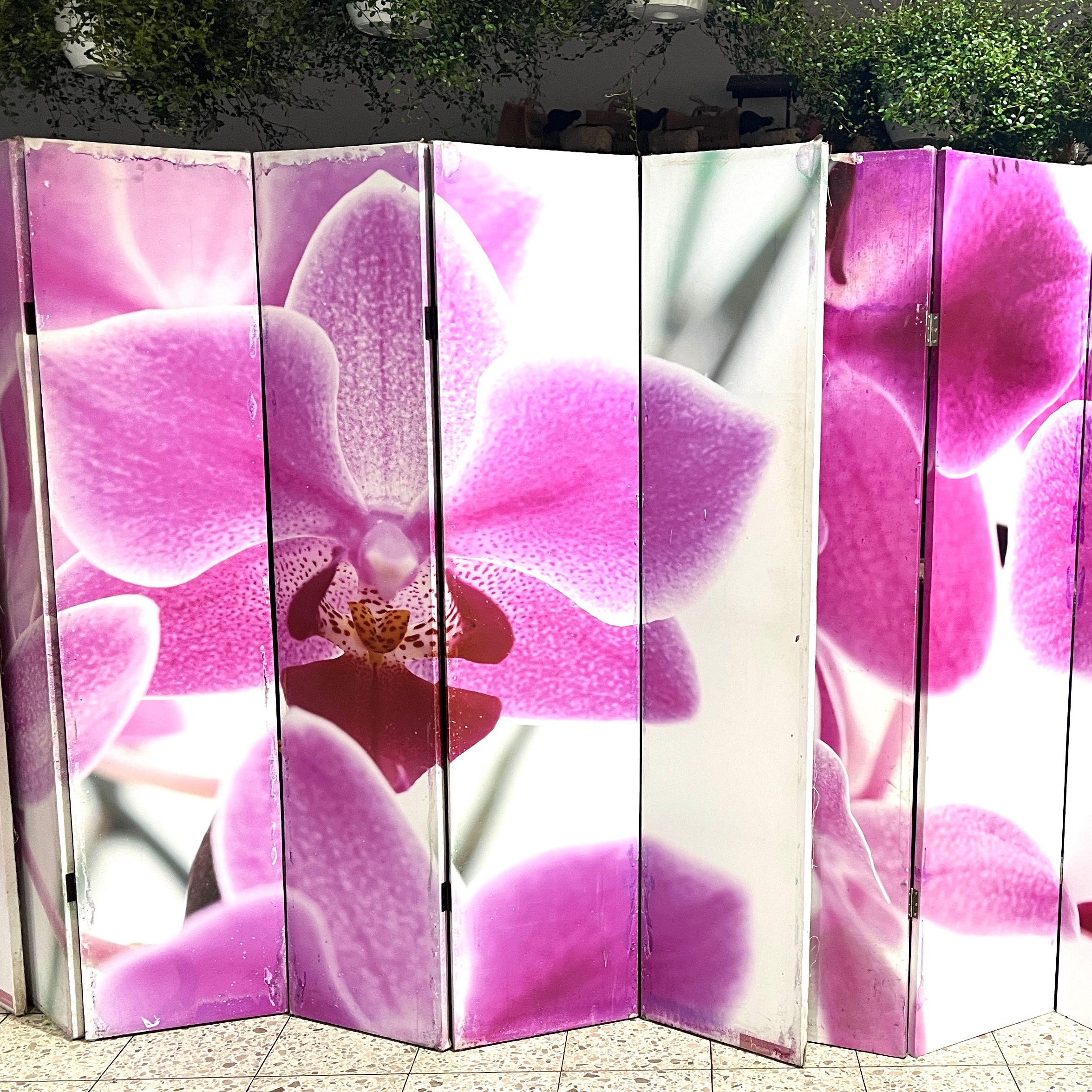 Music Website • Nina